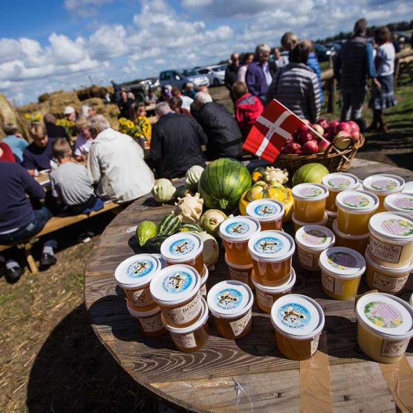 Frokost ved fjordhytten på Nissum Fjord Dagen