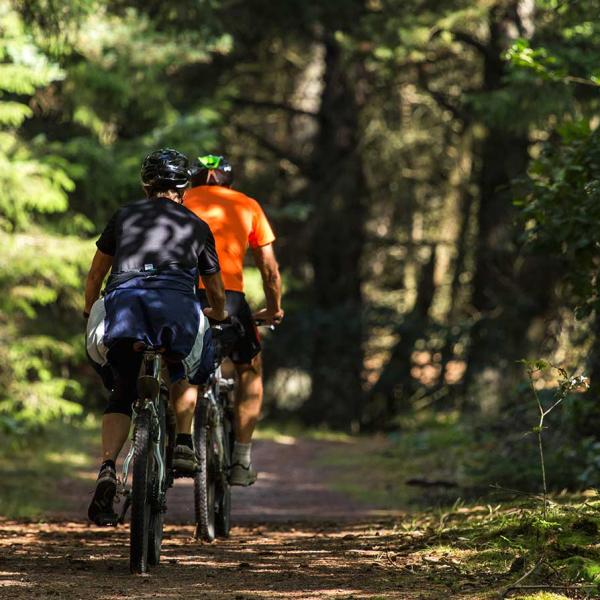 På cykel i Husby Klitplantage