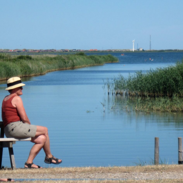 Vandre om Nissum Fjord