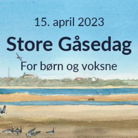 store gåsedag for børn og voksne